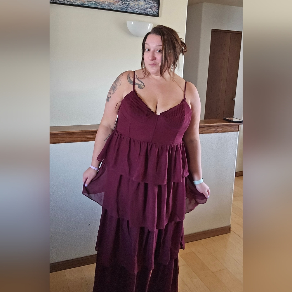NEW Birdy Grey Lola Chiffon Cabernet Dress - Picture 6 of 10